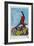 Spider-Man, Nicholas Hammond, 1977-null-Framed Premium Giclee Print