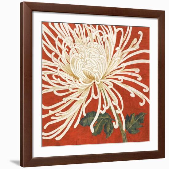 Spider Mum II-Judy Shelby-Framed Art Print