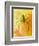 Spider on Daylily, Savannah, Georgia, USA-Joanne Wells-Framed Photographic Print