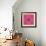 Spider, Pink Crab Spider-Belen Mena-Framed Giclee Print displayed on a wall