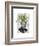 Spider Plant Head-Fab Funky-Framed Art Print