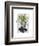 Spider Plant Head-Fab Funky-Framed Art Print