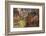 Spider Rock Viewpoint and Canyon de Chelly River, Chinle, Arizona-Michel Hersen-Framed Photographic Print