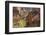 Spider Rock Viewpoint and Canyon de Chelly River, Chinle, Arizona-Michel Hersen-Framed Photographic Print