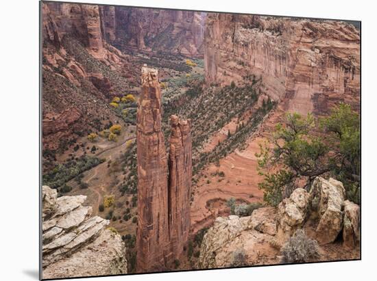 Spider Rock-Don Paulson-Mounted Giclee Print