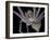 Spider, SEM-Steve Gschmeissner-Framed Photographic Print