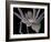 Spider, SEM-Steve Gschmeissner-Framed Photographic Print