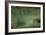 Spider Web-Adrian Bicker-Framed Photographic Print