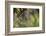 Spider Web-Lynn M^ Stone-Framed Photographic Print