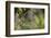 Spider Web-Lynn M^ Stone-Framed Photographic Print