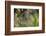 Spider Web-Lynn M^ Stone-Framed Photographic Print