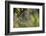 Spider Web-Lynn M^ Stone-Framed Photographic Print