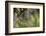 Spider Web-Lynn M^ Stone-Framed Photographic Print