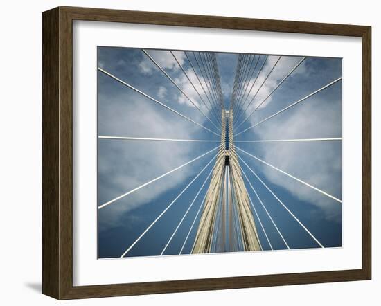 Spider-Nico T-Framed Photographic Print