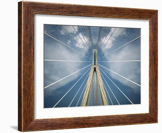 Spider-Nico T-Framed Photographic Print