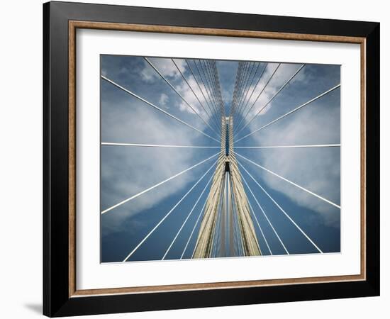 Spider-Nico T-Framed Photographic Print