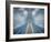 Spider-Nico T-Framed Photographic Print