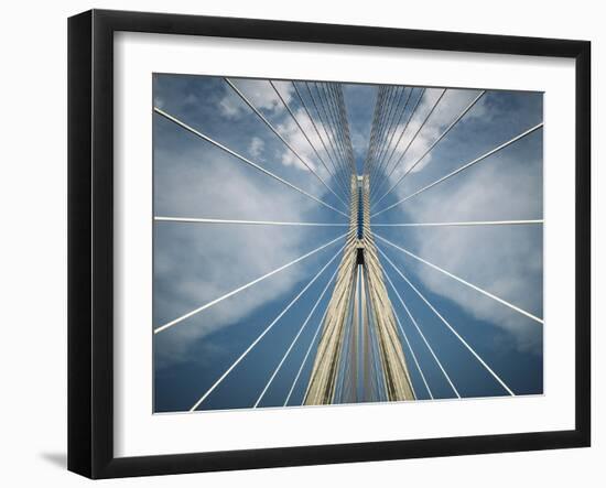 Spider-Nico T-Framed Photographic Print