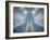 Spider-Nico T-Framed Photographic Print