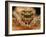 Spider-vasekk-Framed Photographic Print