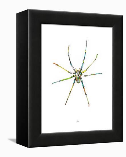 Spider-Alexis Marcou-Framed Stretched Canvas