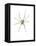 Spider-Alexis Marcou-Framed Stretched Canvas