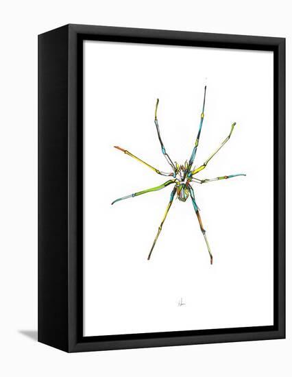 Spider-Alexis Marcou-Framed Stretched Canvas