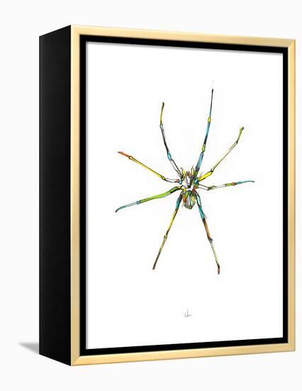 Spider-Alexis Marcou-Framed Stretched Canvas