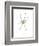 Spider-Alexis Marcou-Framed Premium Giclee Print