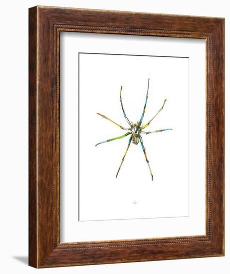 Spider-Alexis Marcou-Framed Premium Giclee Print