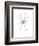 Spider-Alexis Marcou-Framed Premium Giclee Print