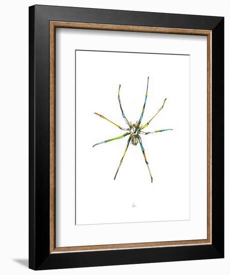 Spider-Alexis Marcou-Framed Premium Giclee Print