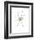 Spider-Alexis Marcou-Framed Premium Giclee Print