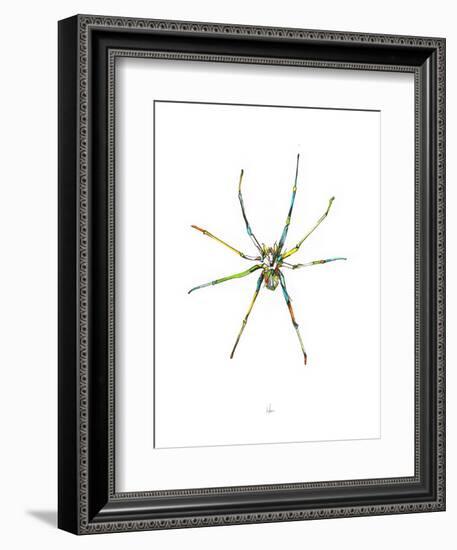 Spider-Alexis Marcou-Framed Premium Giclee Print