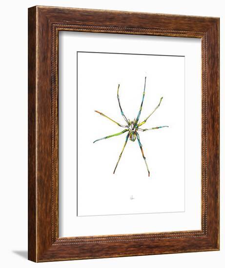 Spider-Alexis Marcou-Framed Art Print