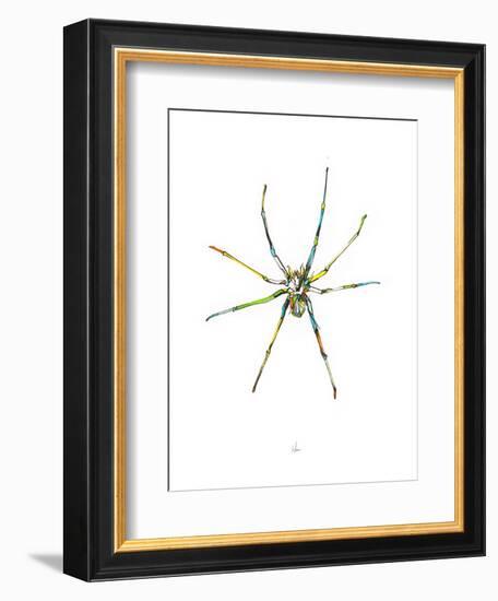 Spider-Alexis Marcou-Framed Art Print