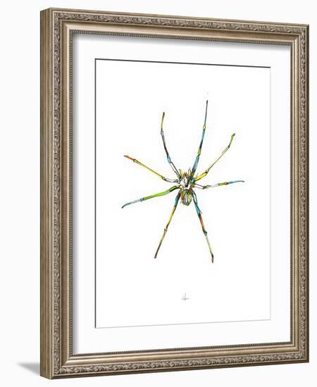 Spider-Alexis Marcou-Framed Art Print