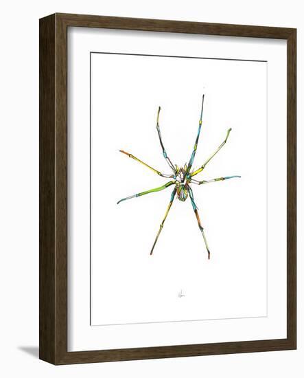 Spider-Alexis Marcou-Framed Art Print