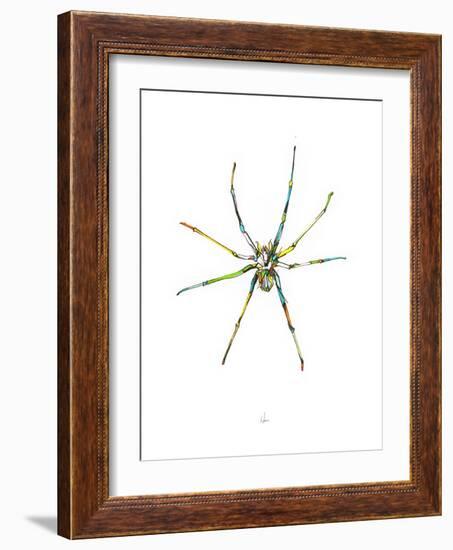 Spider-Alexis Marcou-Framed Art Print