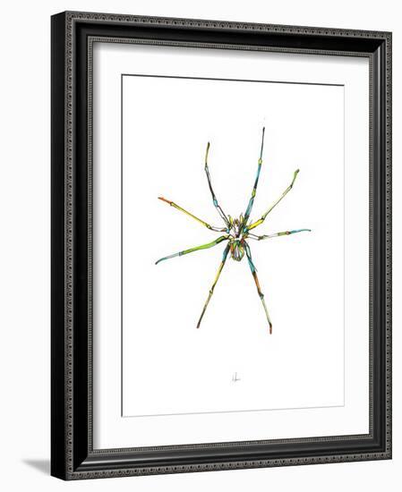 Spider-Alexis Marcou-Framed Art Print