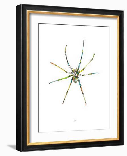 Spider-Alexis Marcou-Framed Art Print