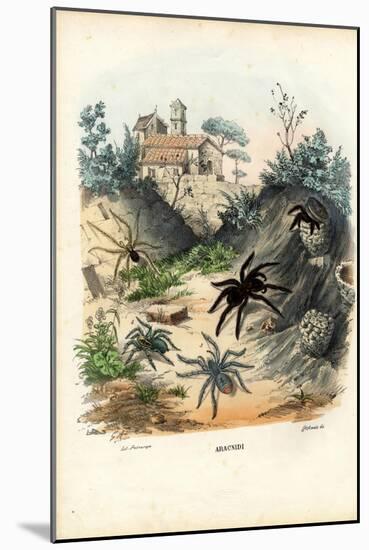 Spiders, 1863-79-Raimundo Petraroja-Mounted Giclee Print