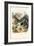 Spiders, 1863-79-Raimundo Petraroja-Framed Giclee Print