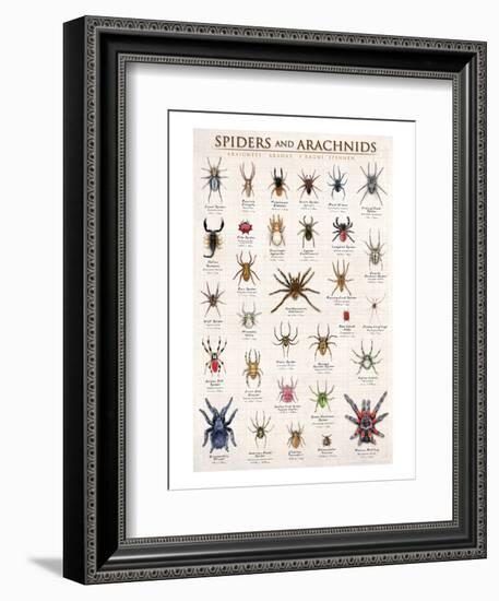 Spiders and Arachnids-null-Framed Art Print