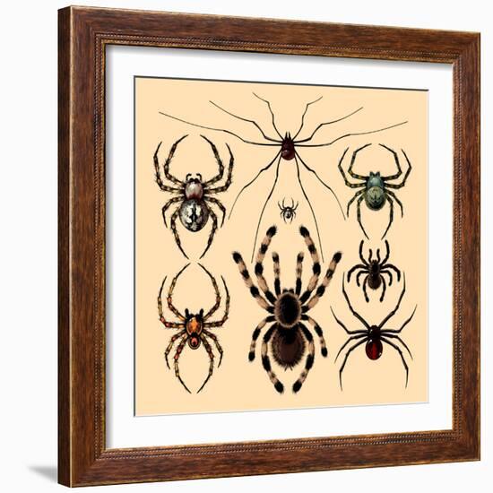 Spiders-Alena Kozlova-Framed Art Print