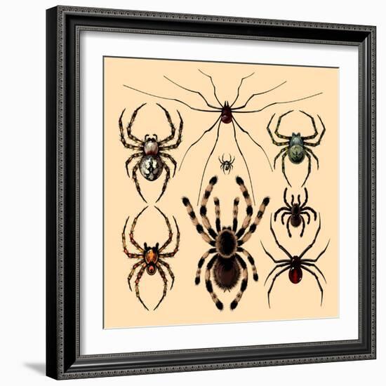 Spiders-Alena Kozlova-Framed Art Print