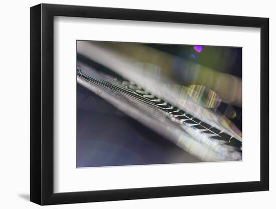 Spiderweb in the Profile-Falk Hermann-Framed Photographic Print