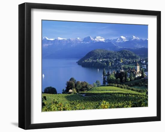 Spiez, Lake Thun, Berner Oberland, Switzerland-Peter Adams-Framed Photographic Print