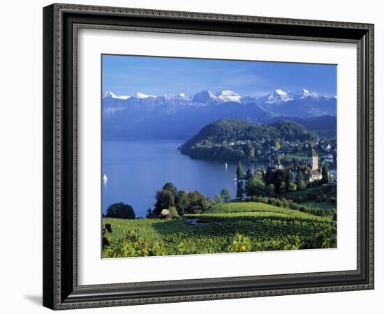 Spiez, Lake Thun, Berner Oberland, Switzerland-Peter Adams-Framed Photographic Print