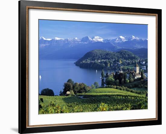 Spiez, Lake Thun, Berner Oberland, Switzerland-Peter Adams-Framed Photographic Print